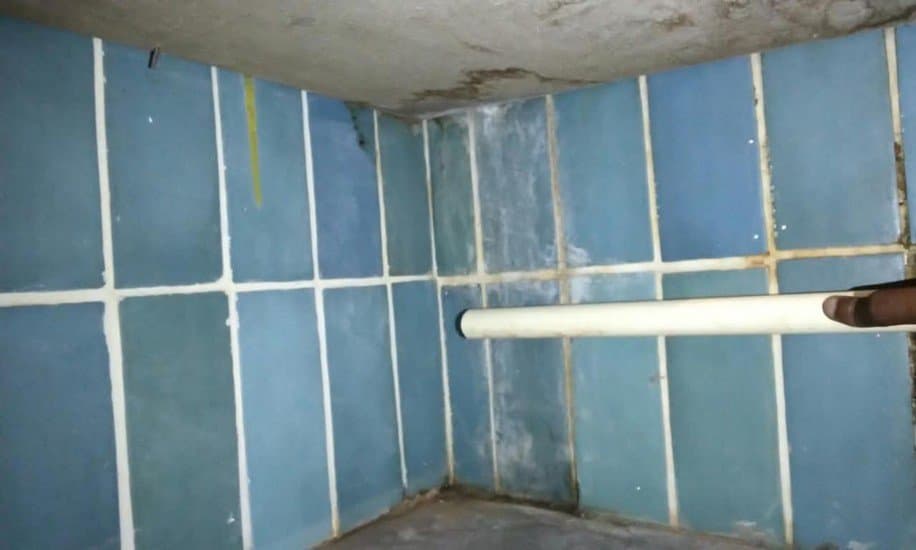 Site condition showing dampness and staining on tiled wall corner during Cyond investigation
