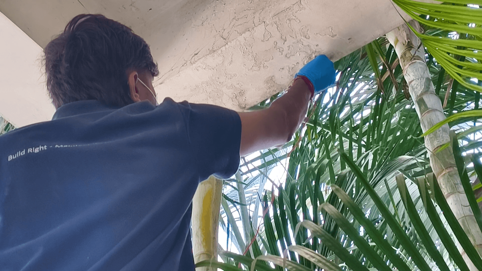 Scope Mapping Inspection, Cyond water leakage and building diagnosis Hyderabad