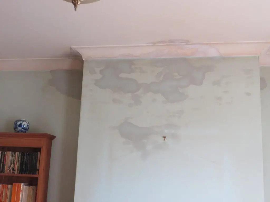 Ceiling dampness repair before Cyond waterproofing work