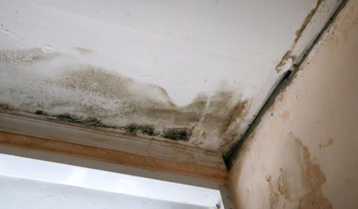Wall seepage fix before Cyond waterproofing work