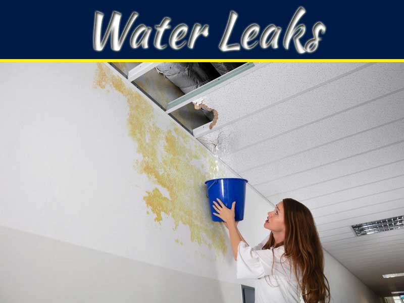The Hidden Dangers of Water Leaks: Mold, Structural Damage & Health Risks