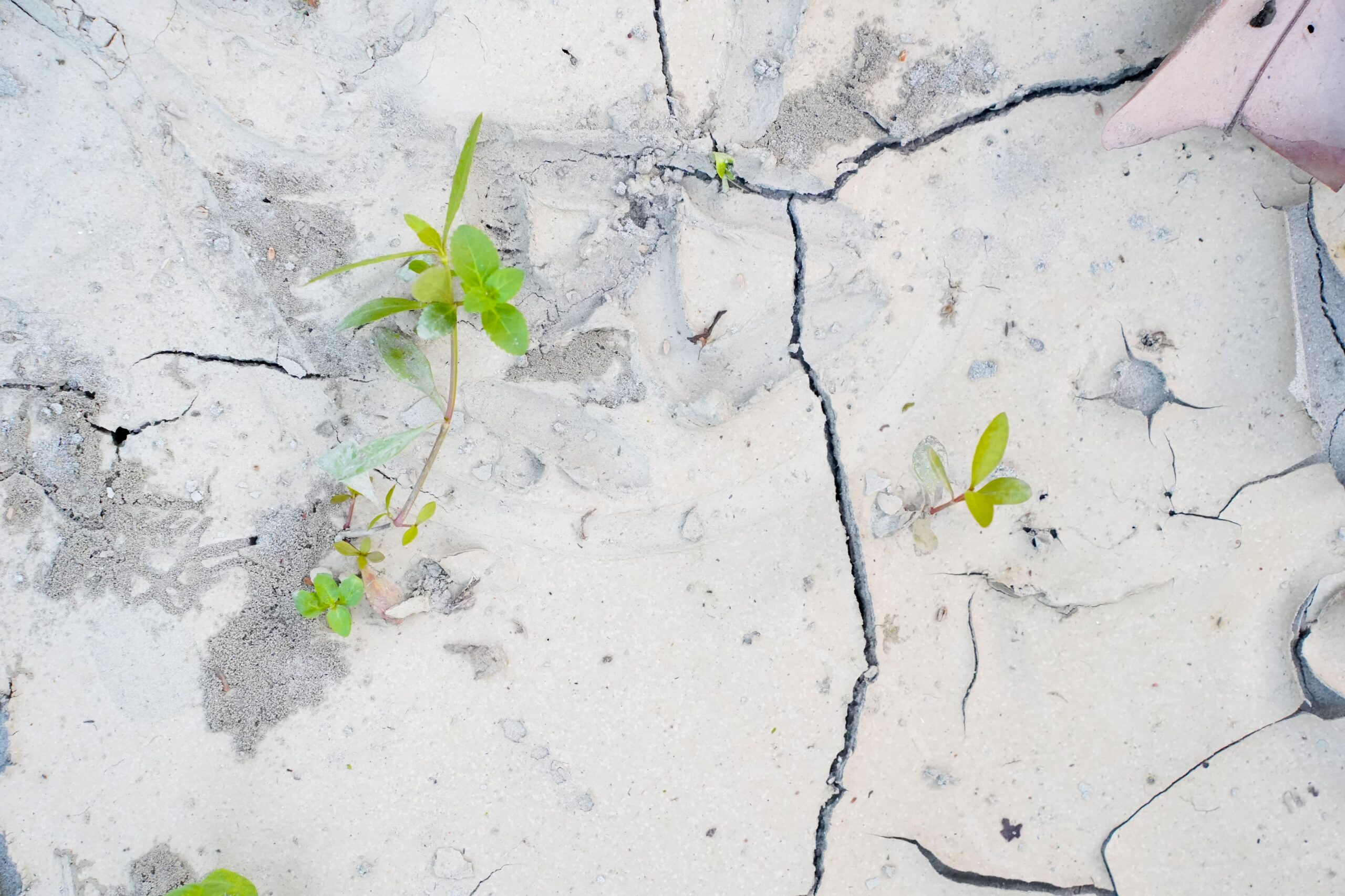 When Is a Crack Dangerous? Understanding Crack Width and Structural Risk