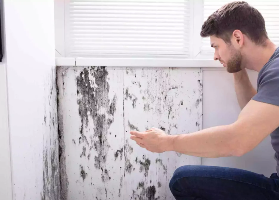 The Real Cost of Delaying Water Leak Rectification